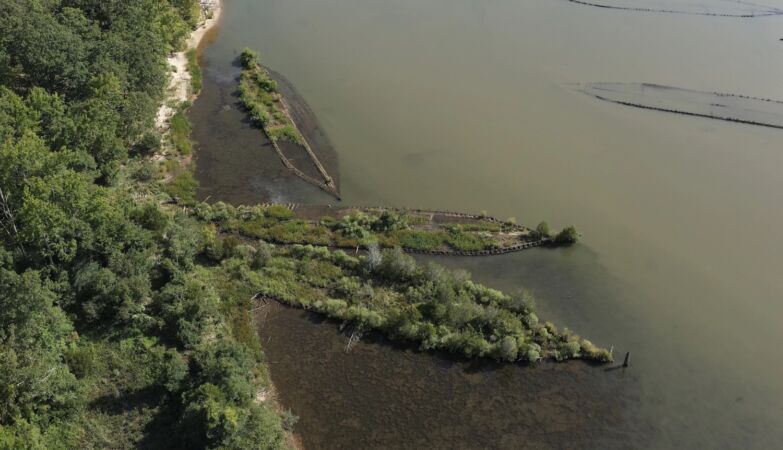 They seem like islands: World War II Ogivas and Ships now serve as a cradle to nature