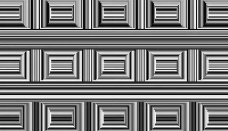 See rectangles or circles in this image? The answer can reveal where it has grown