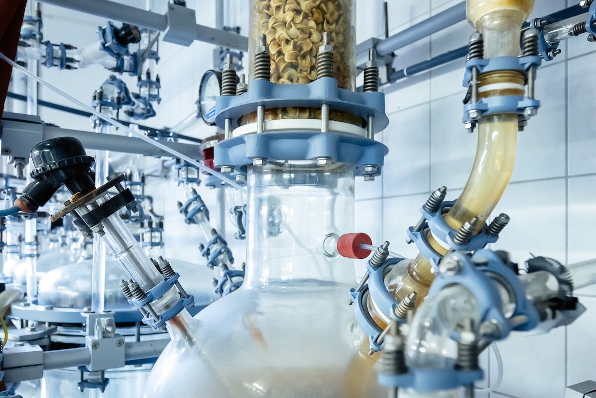 What if we ate the plastic we lay away? It is already possible, thanks to a fungus