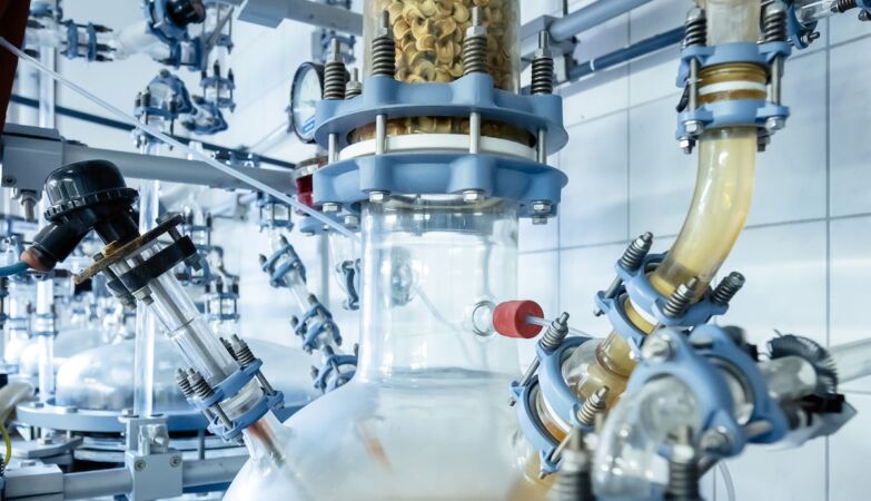 What if we ate the plastic we lay away? It is already possible, thanks to a fungus