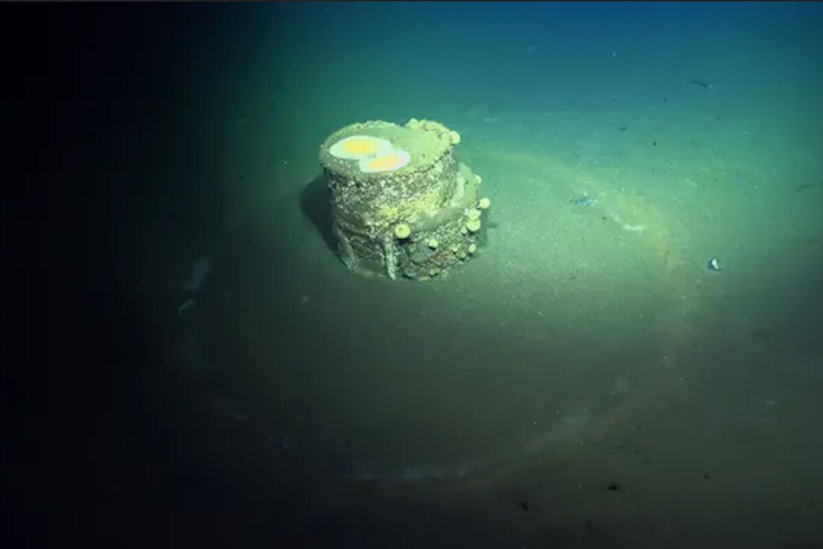 Revealed the content of mysterious barrels with “halos” submerged in