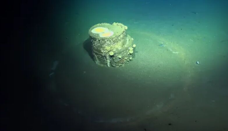 Revealed the content of mysterious barrels with “halos” submerged in