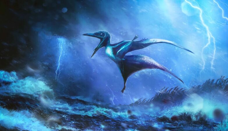The pterosaurs were able to fly at birth - but they were unlucky with the storms