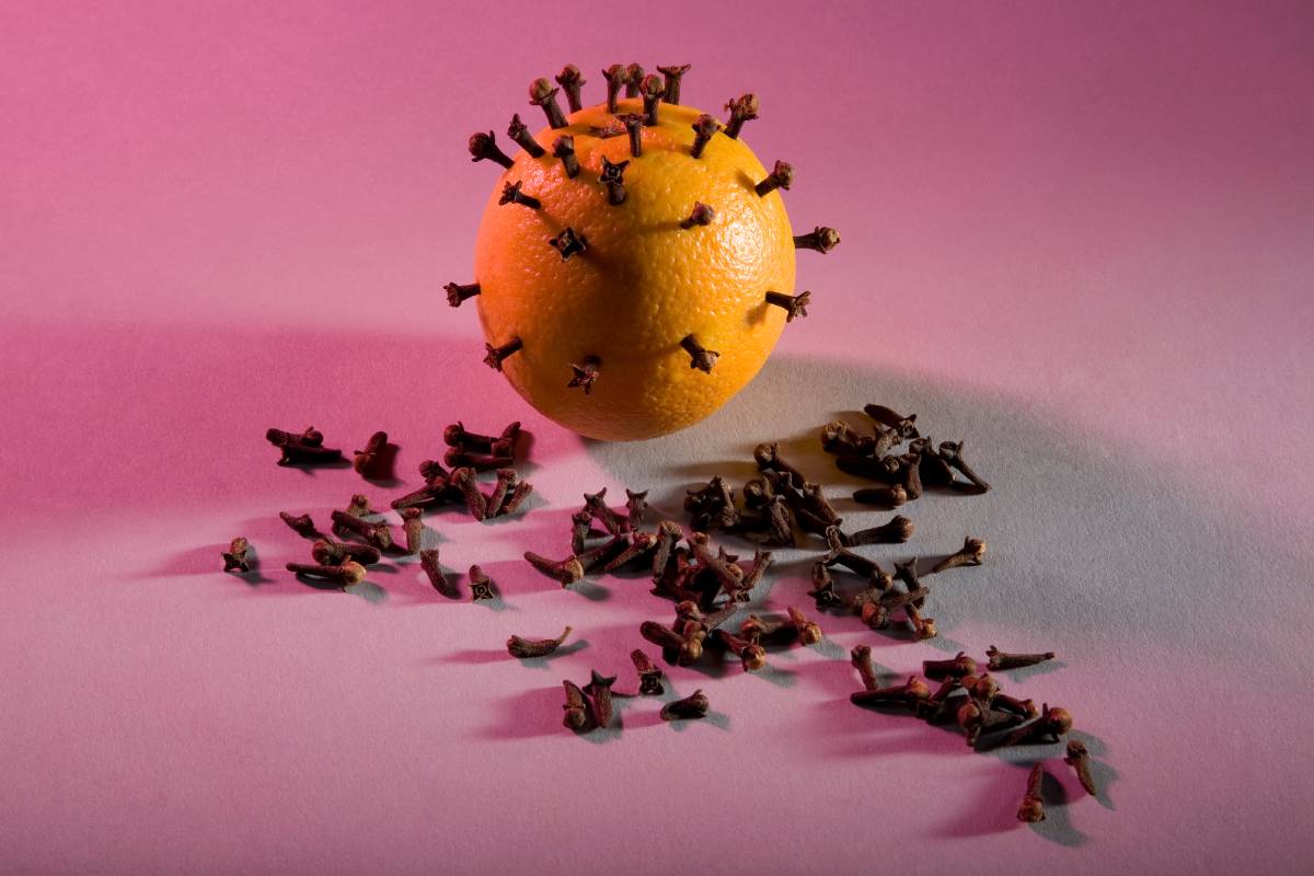 Clipped smell with a laurel and clove nails