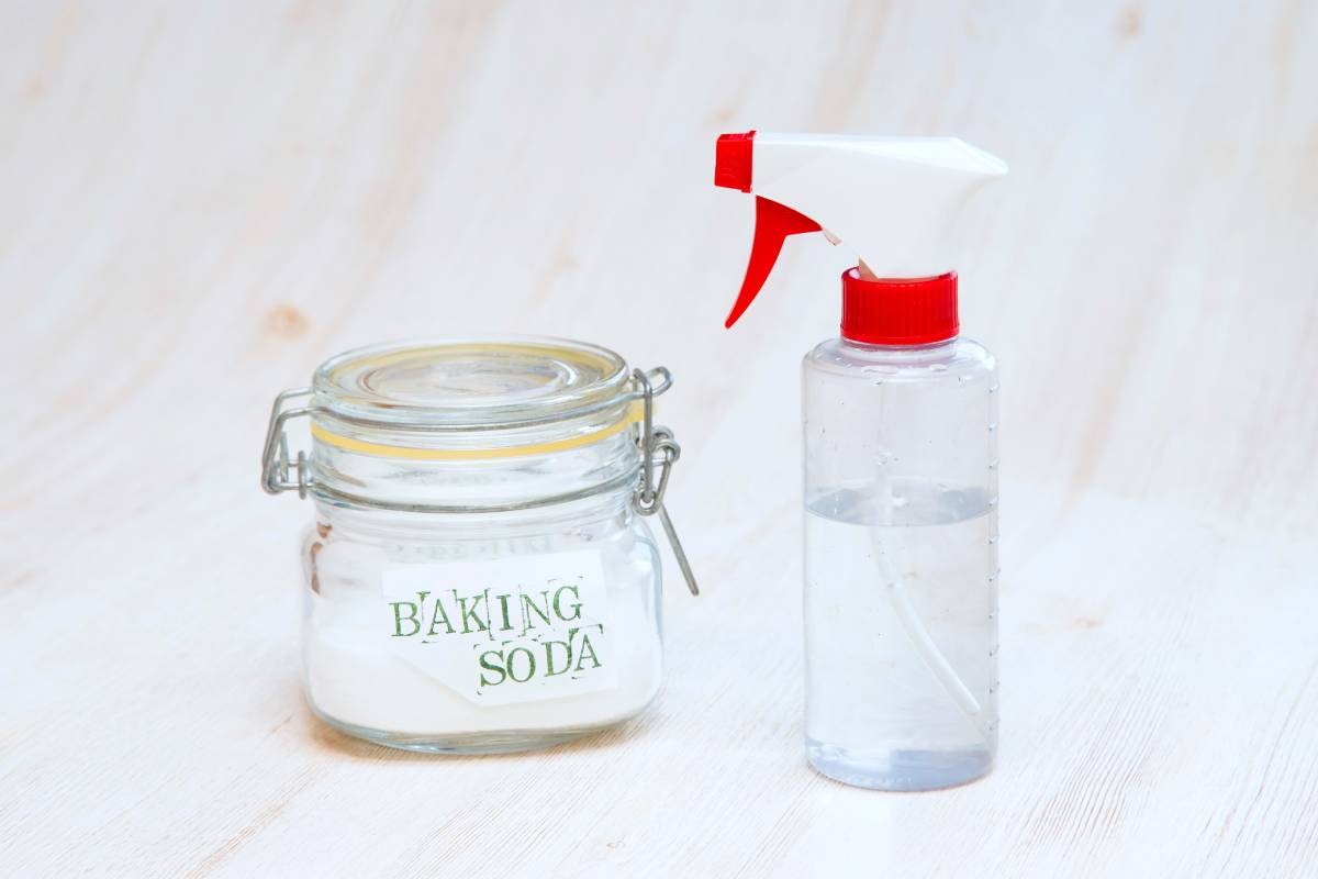 Clean the radiators with natural ingredients