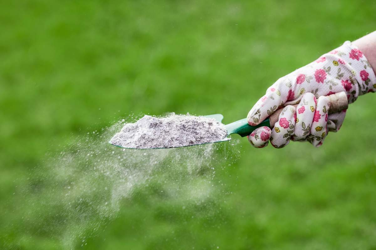 The natural fertilizers that reinvigorate aromatic plants