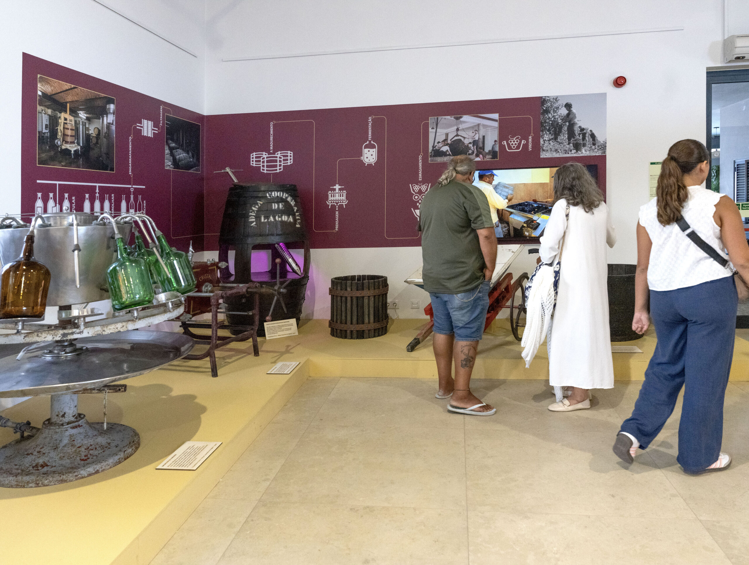 Portimão marks World Tourism Day with tests, showcooking and environmental actions