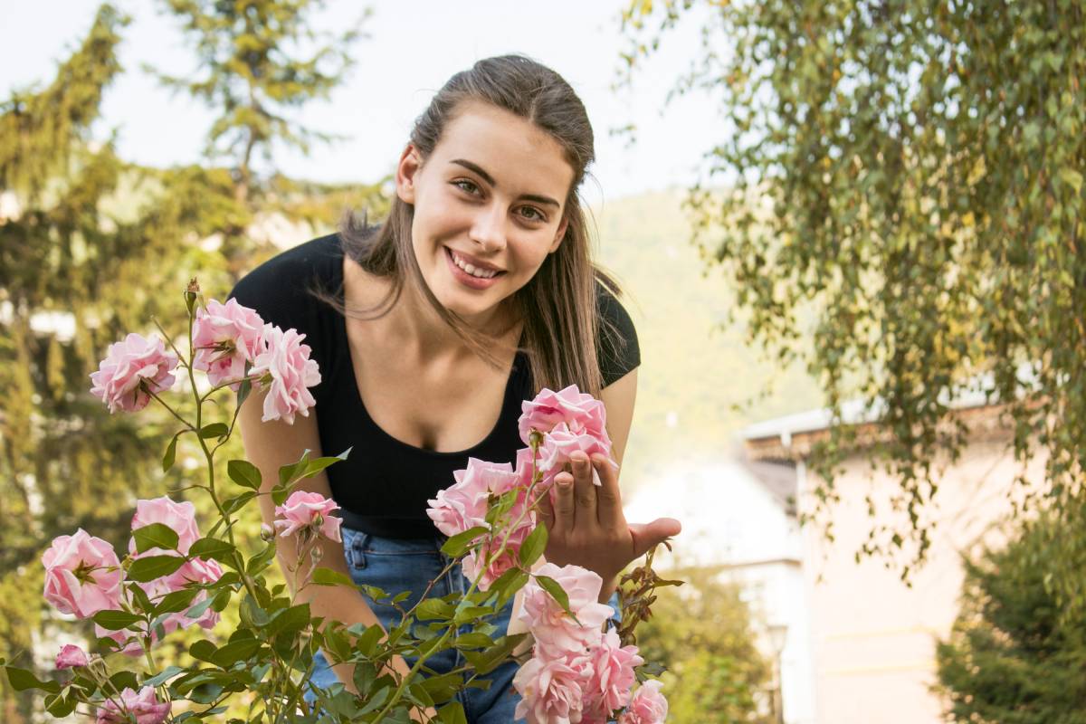 Mold and mushrooms on roses: here's how to intervene