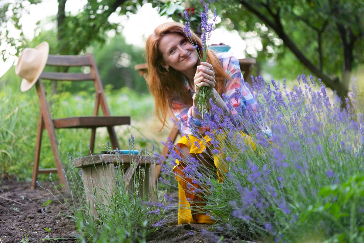 Prune in lavender to make it grow luxuriant
