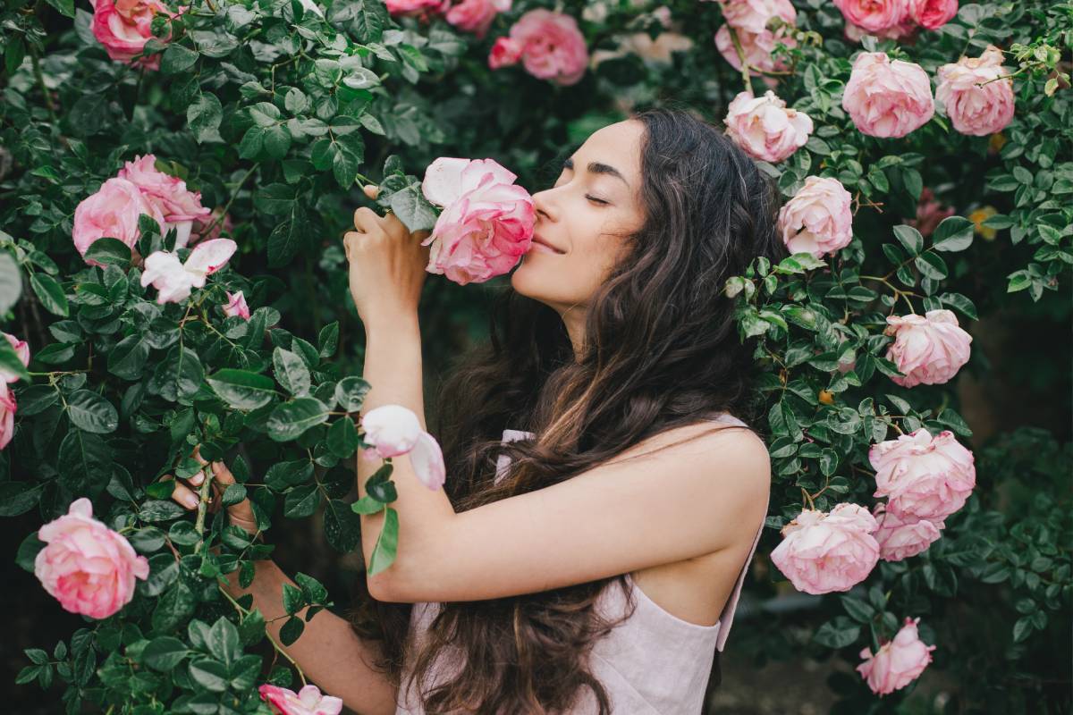 Moving fresco and mushrooms on roses: here's how to cure them naturally