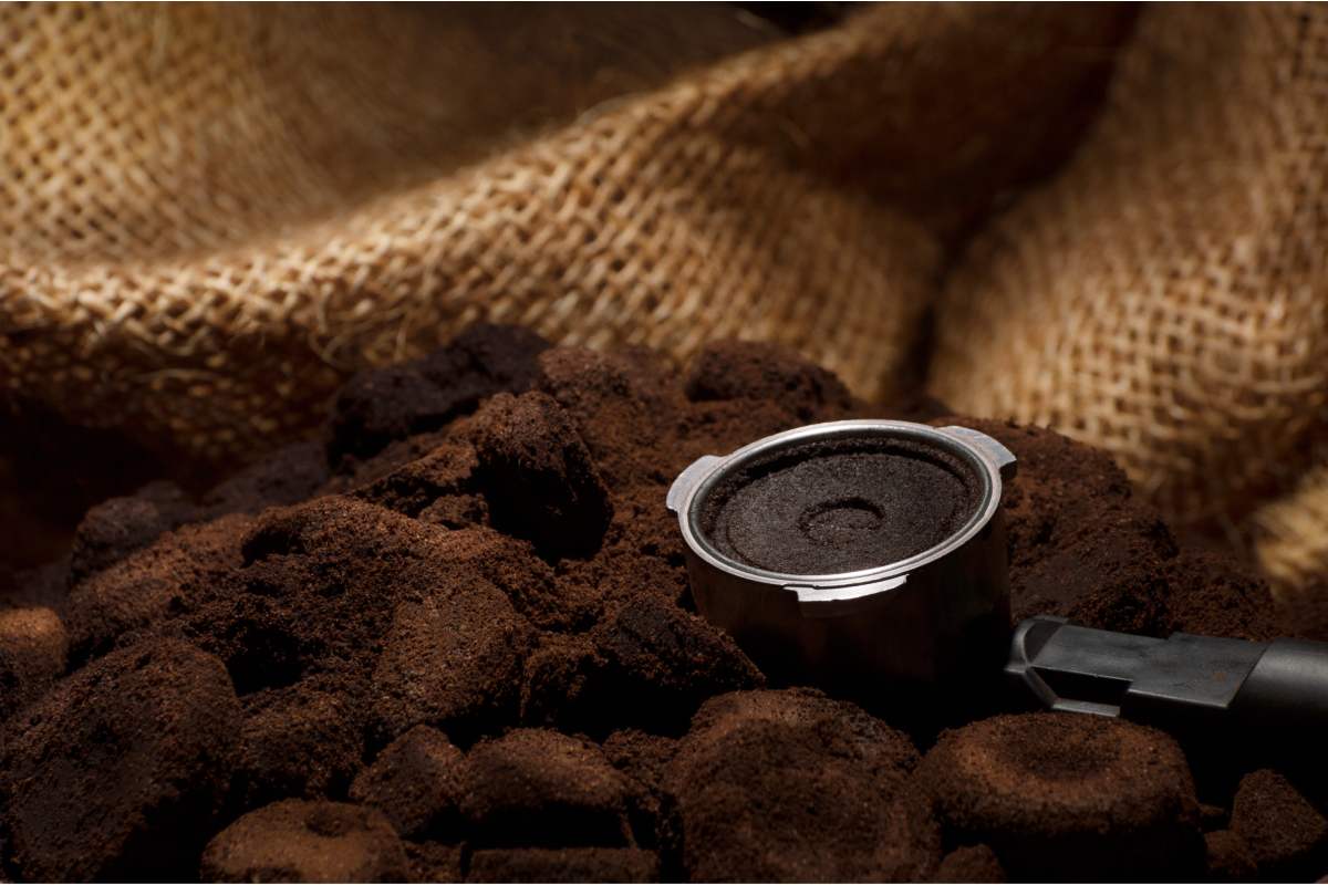 Aromatic plants and natural fertilizers