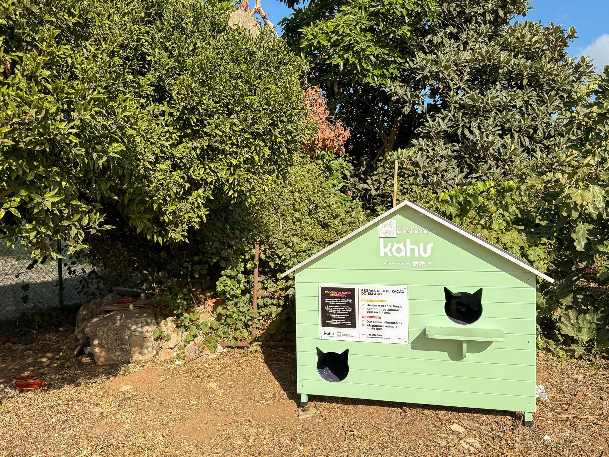 Vila Real de Santo António bets on innovative animal welfare strategy