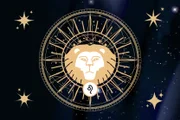 Leonines present as characteristics creativity, charisma and generosity.
