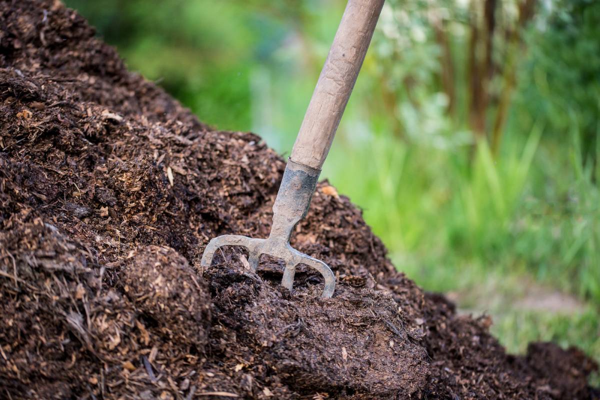 3 natural fertilizers before the change of season