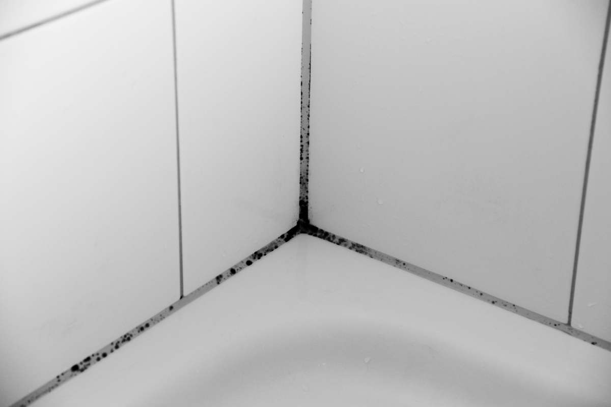 Remedies against mold in tile joints
