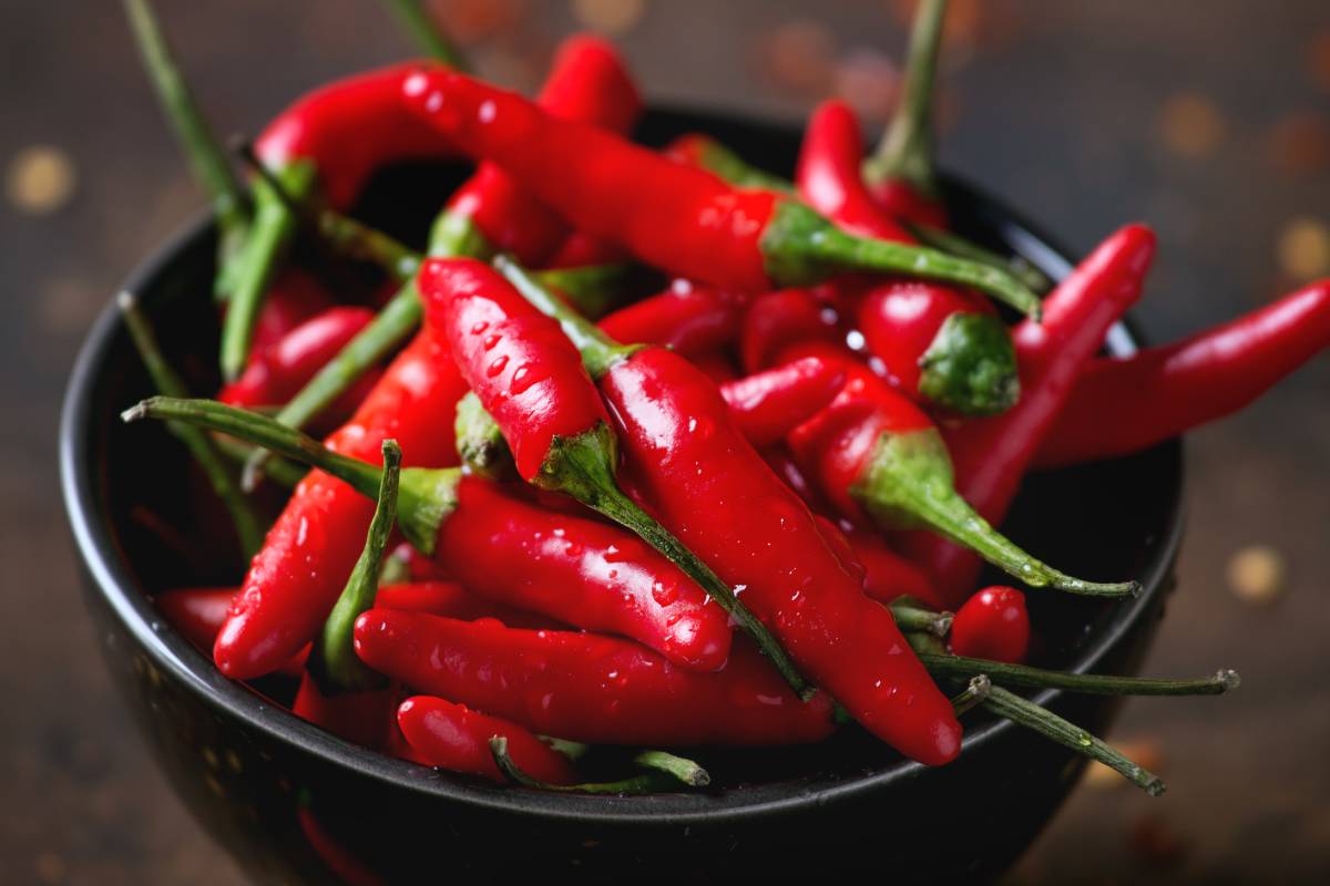 Now collect the chillies to have them in winter