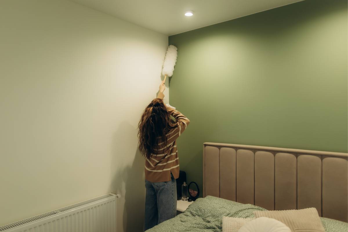Cleaning at home before autumn