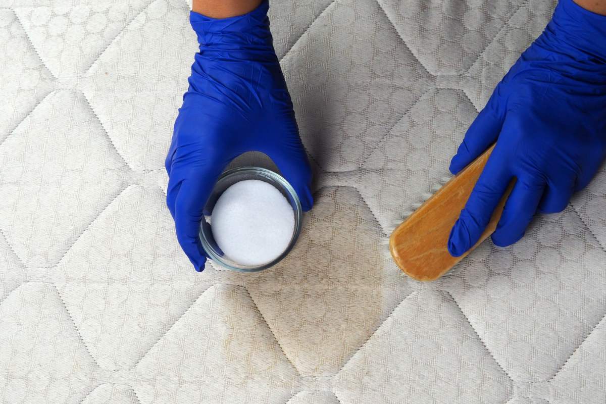 September is the ideal month for 5 housewives cleaning