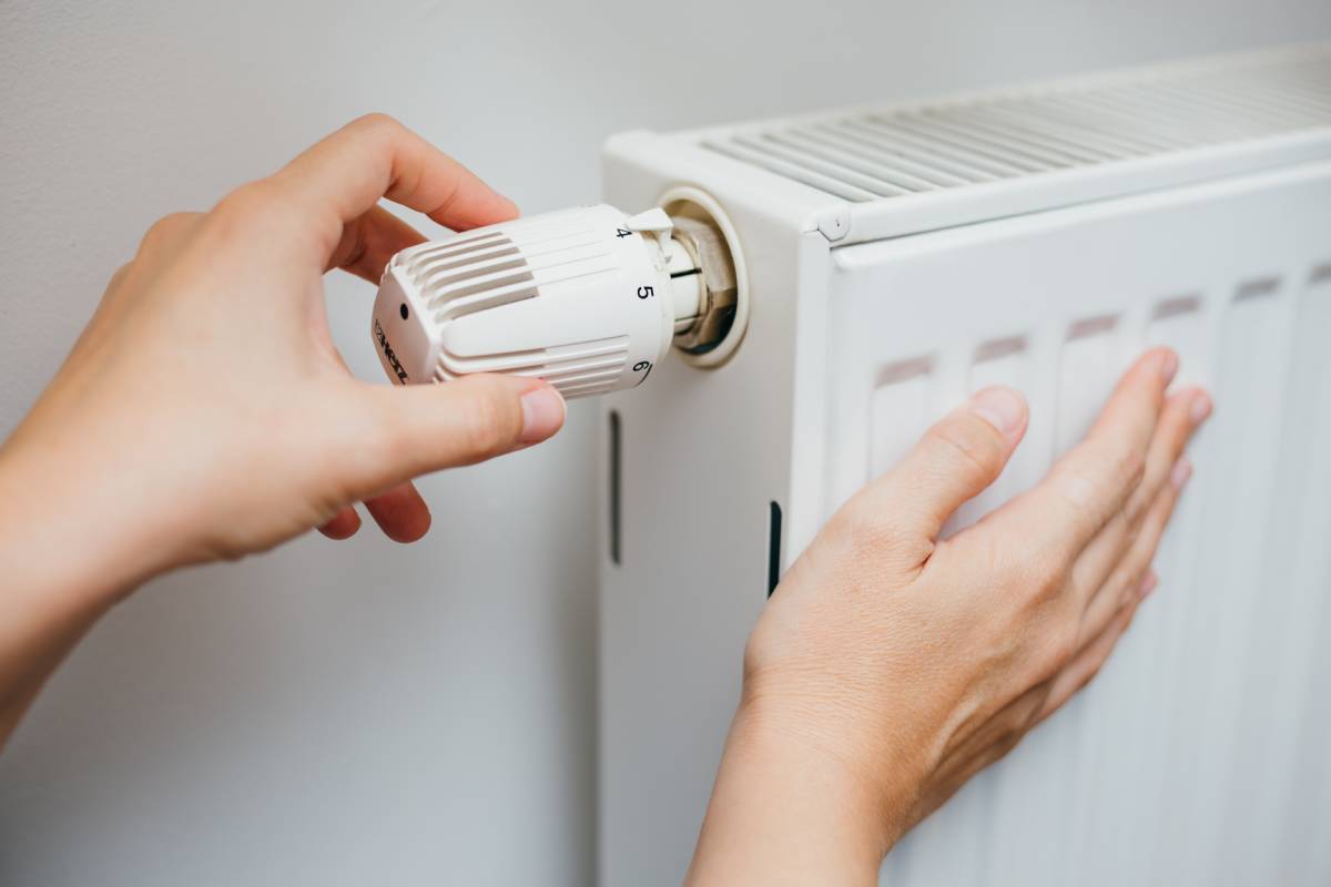 Eradicate condensate and mold in the house: here's how
