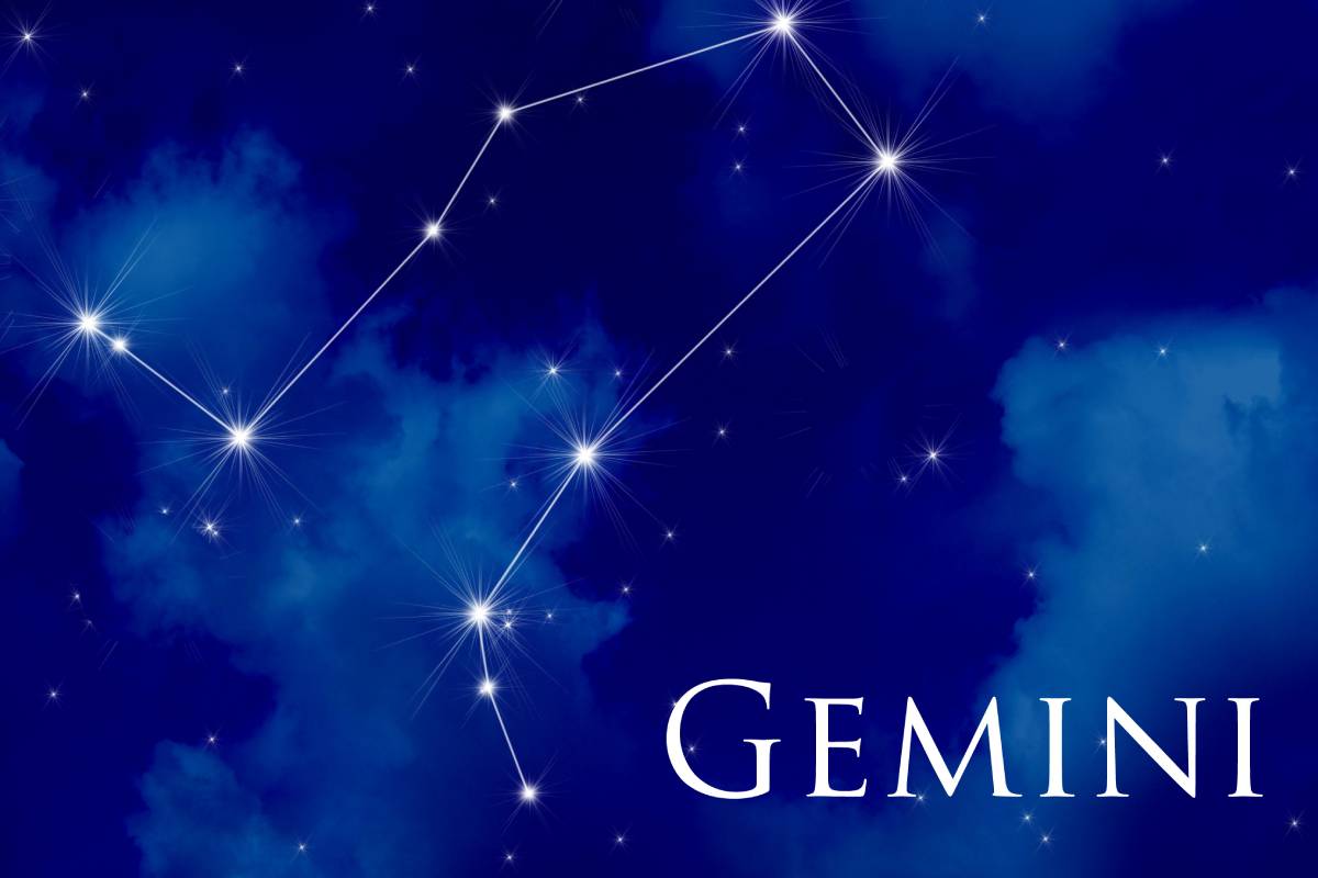 Characteristics of the twins