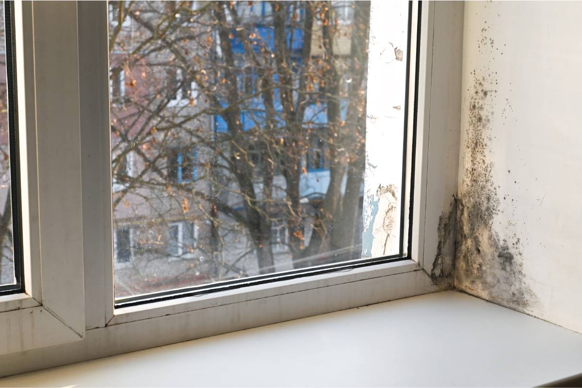 Avoid humidity in the house: here are the remedies