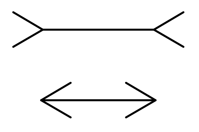 See rectangles or circles in this image? The answer can reveal where it has grown