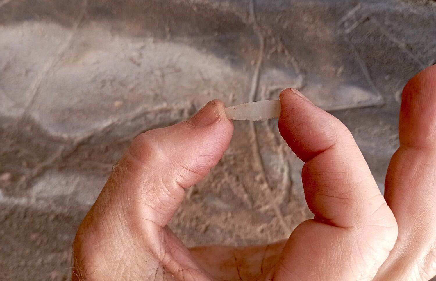 Traces of human presence with 26,000 years in the Côa Valley