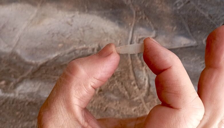 Traces of human presence with 26,000 years in the Côa Valley