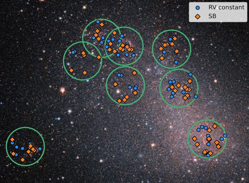 Massive stars do not like to live alone