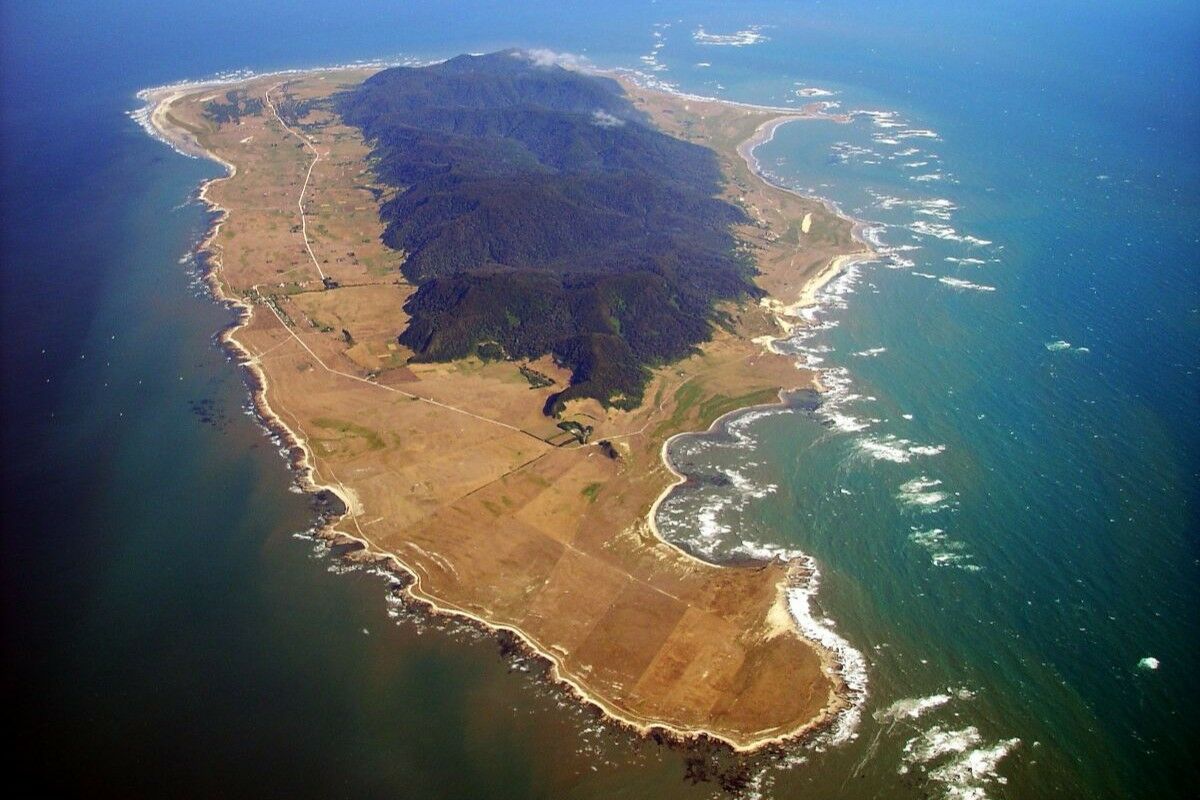 Wrecks, explorers and Moby Dick. Chile's strange “pirate” island