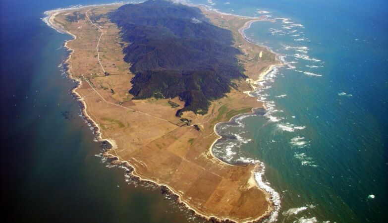 Wrecks, explorers and Moby Dick. Chile's strange “pirate” island