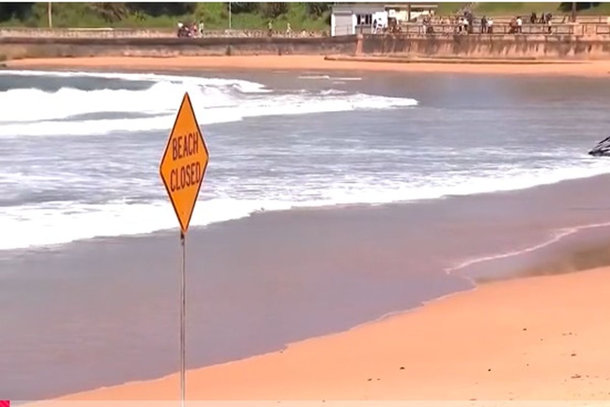 Κέρκυρα: Καρχαρίας έκανε βόλτες γύρω από φουσκωτό