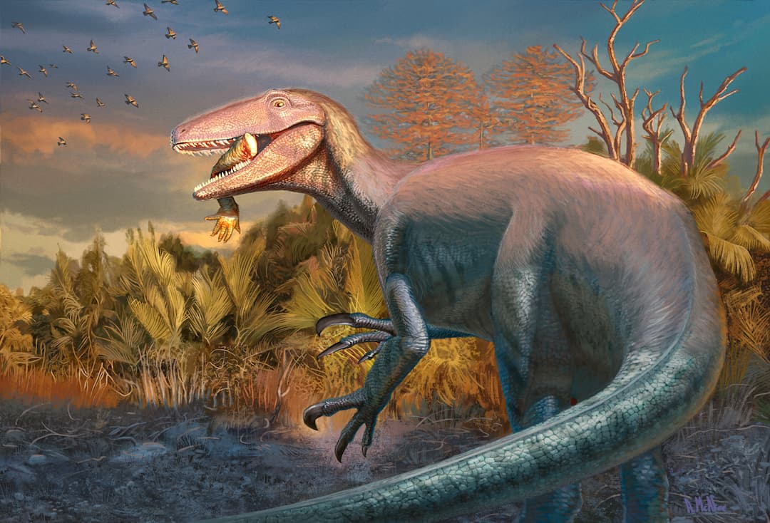Joaquinraptor, the new dinosaur that was discovered with a delicious crocodile still in the mouth