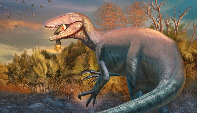 Joaquinraptor, the new dinosaur that was discovered with a delicious crocodile still in the mouth