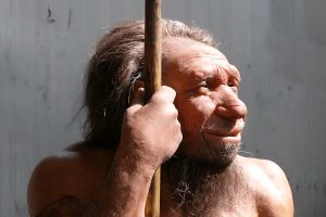Surprising funeral practical discoveries of the Iberian Peninsula Neanderthals