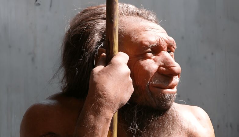 Surprising funeral practical discoveries of the Iberian Peninsula Neanderthals