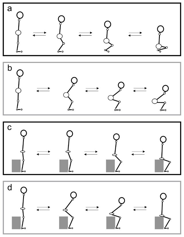 An old ritual of samurai helps reduce the falls of the elderly (and only takes 5 minutes)