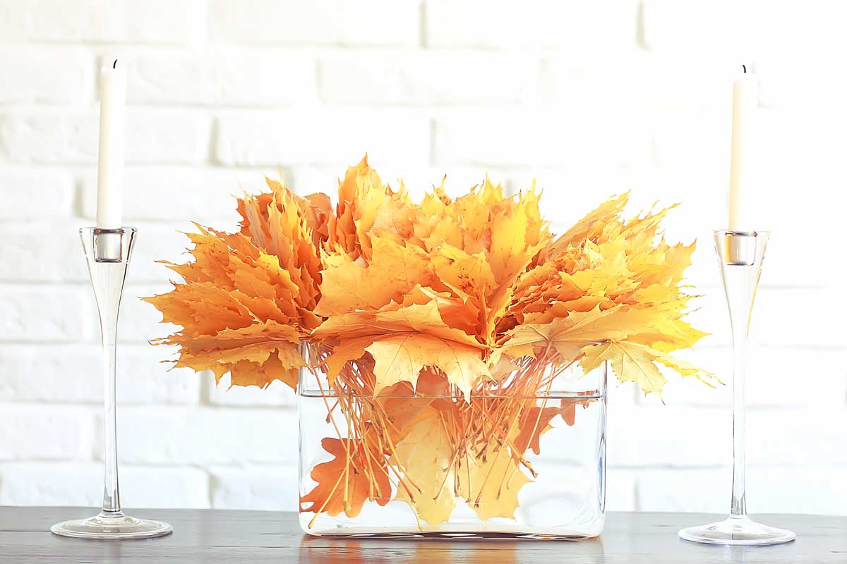 Transparent vase with autumn leaves