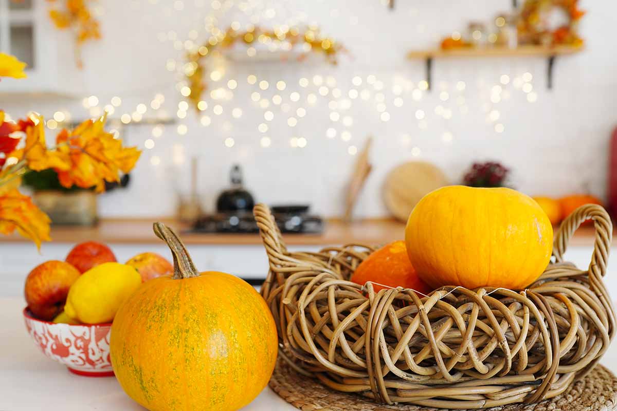 Wicker basket with pumpkins as a centerpiece