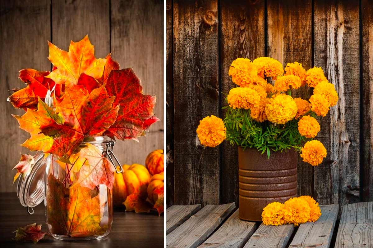 DIY autumn jars with recycling