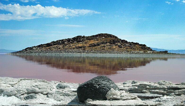 The mystery of the strange living islands of the Great Lake Salgado was finally resolved