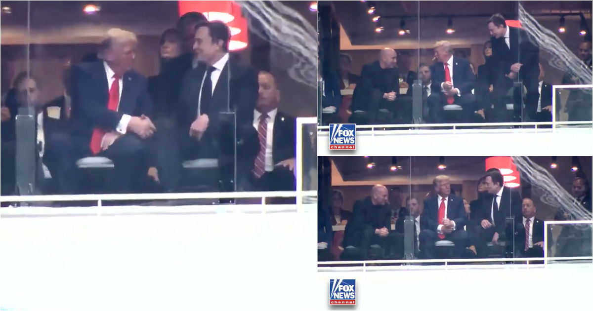 Elon Musk and Donald Trump greeted each other during a memorial of conservative activist Charlie Kirk