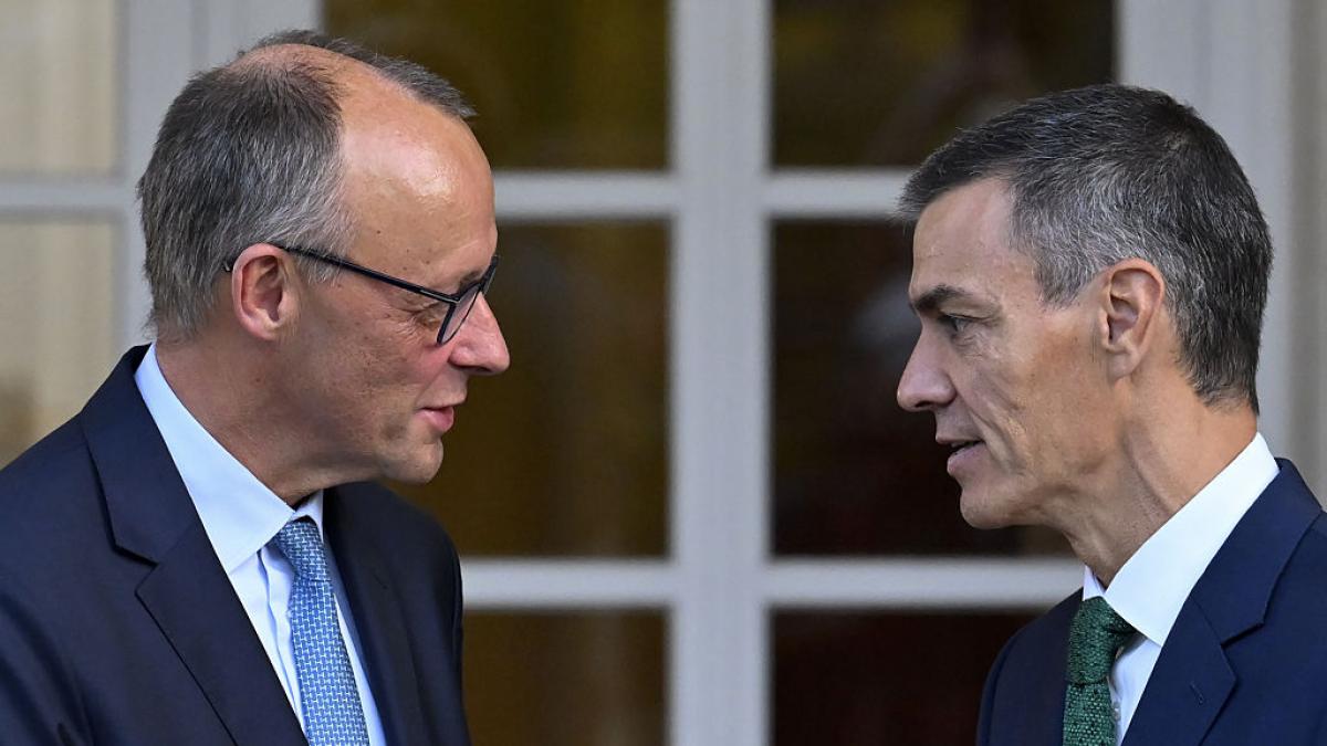 Germany takes time with Israel and Palestine: Merz's deadlines to face two difficult internal debates