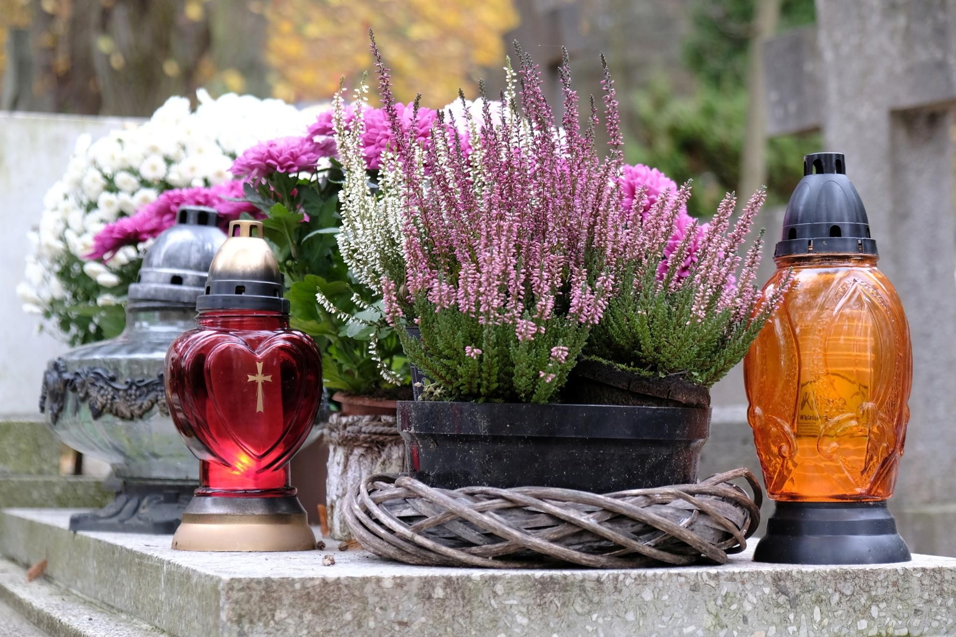 Autumn flowers for the cemetery. Beautiful plants that will decorate tombstones before you put the chrysanthemums on them