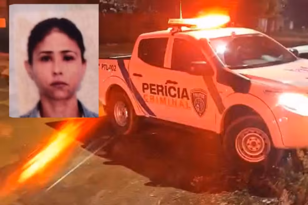 Mother is stabbed to death in front of her son; stepfather is suspicious and runs away