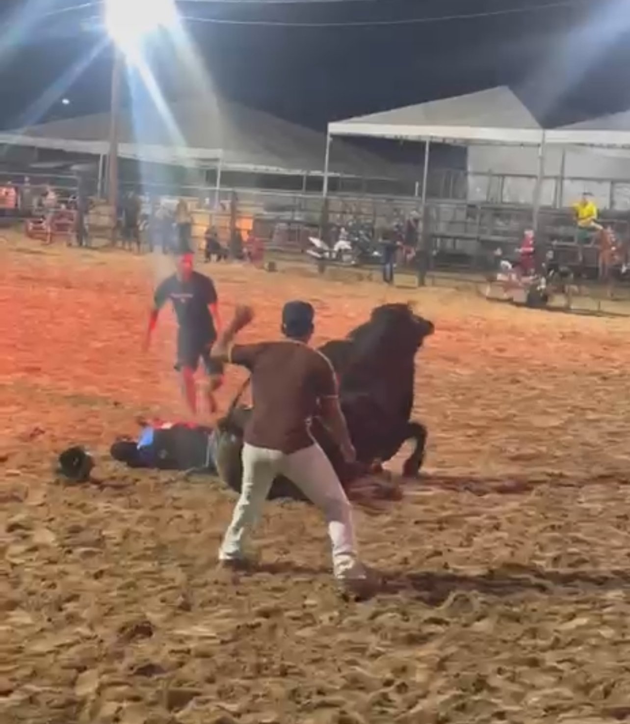 Pawn fainting after falling with bull during rodeo rodeo da Exposa; Watch