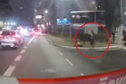 Aggressor tapped stone on the bus 