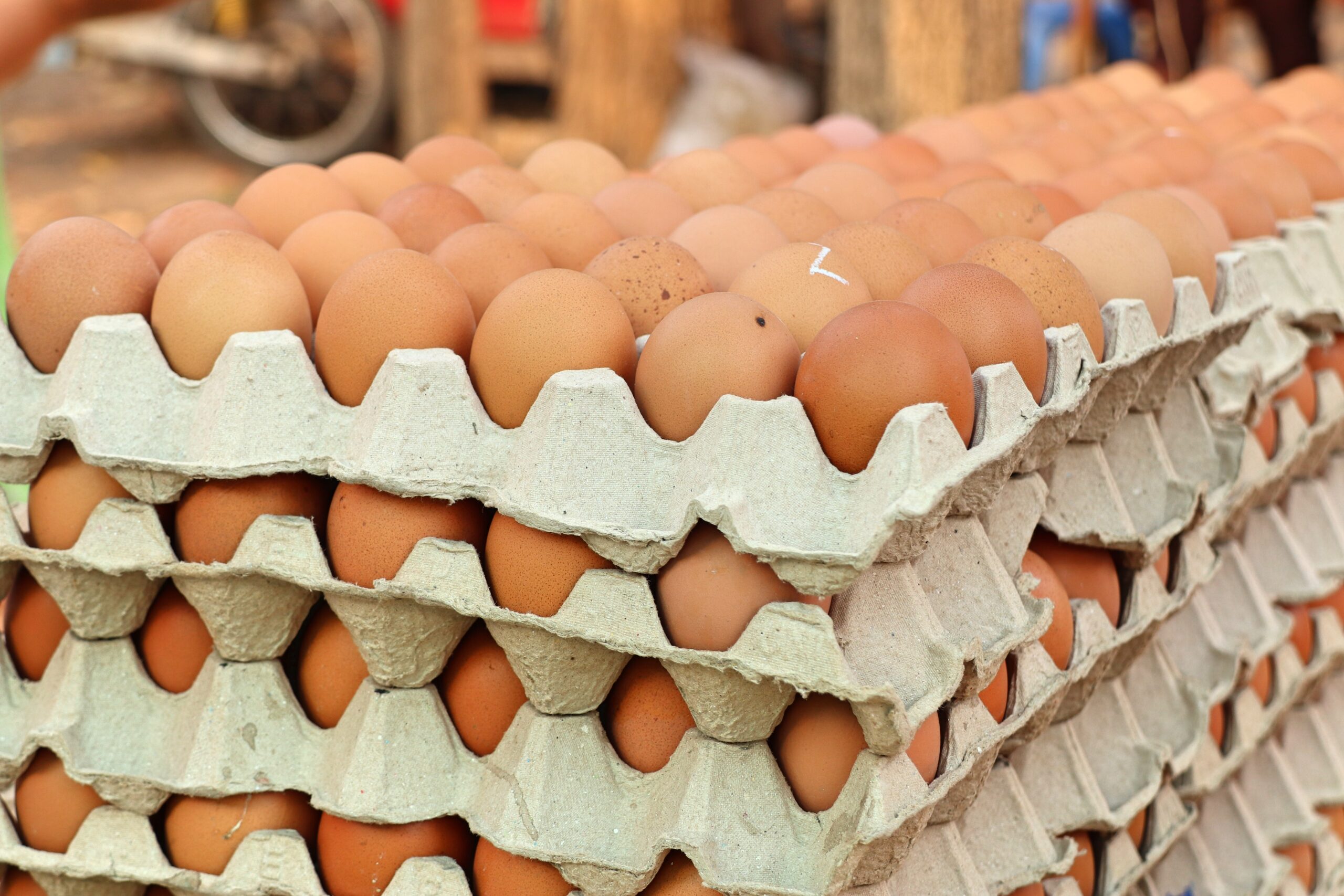 It is not random: Mercado reveals what these numbers are for eggshell