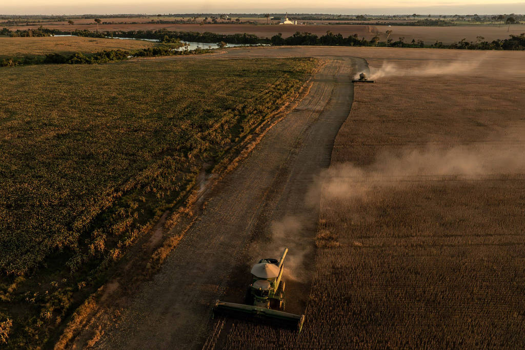 Soy advances in Acre and planted area already equals three times the size of Manhattan