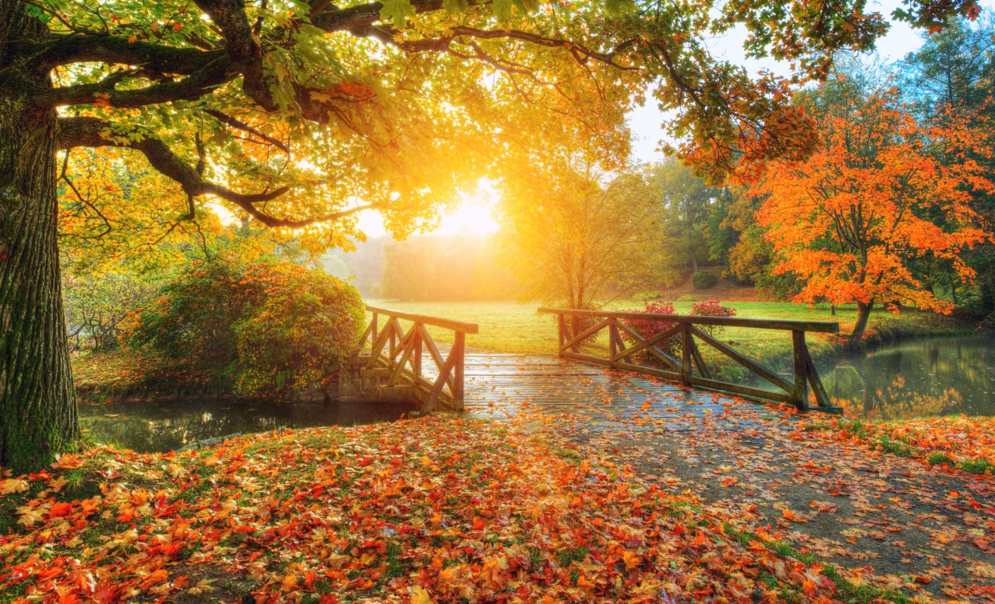 Autumn 2025 will be amazing for these signs. See if you are on the Lucky List